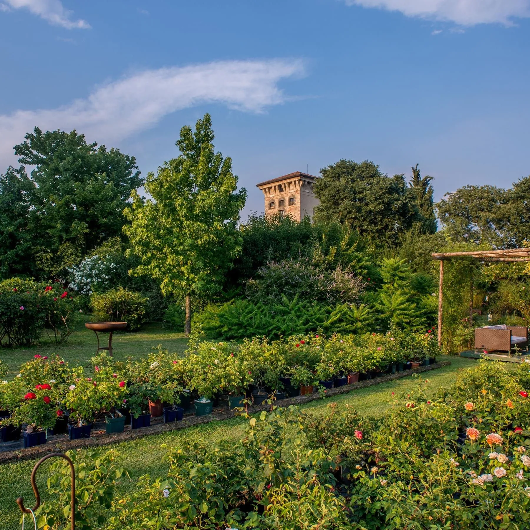 Un palazzo antico, un giardino di rose